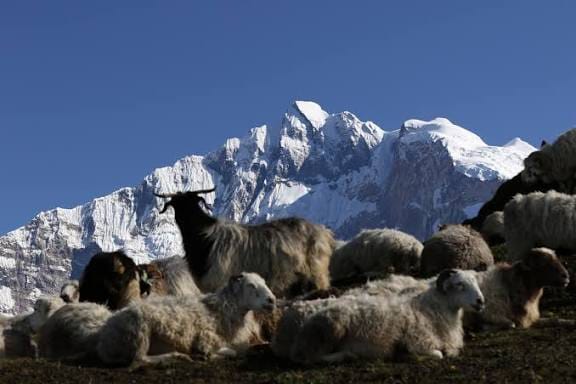 Khopra Danda Trek